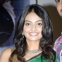 Nikitha Narayan - Its My Love Story Movie Audio Launch Gallery | Picture 91256